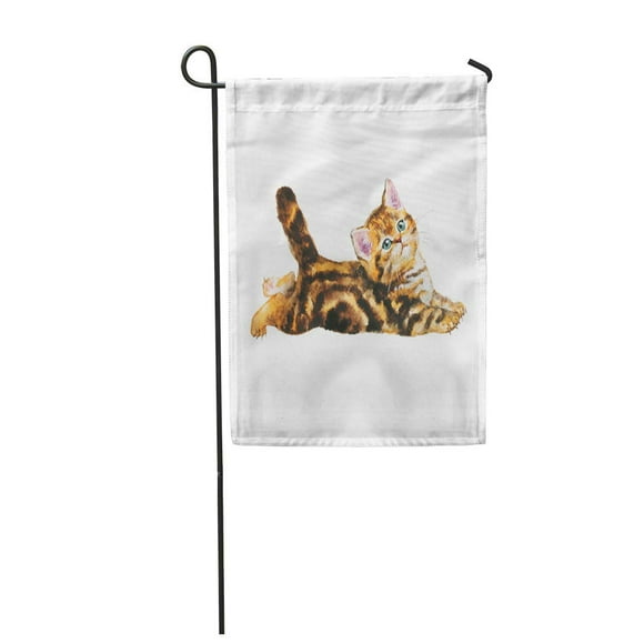 JSDART Fluffy Scottish Fold Kitten Portrait Painting Pets on Watercolor Tabby British Garden Flag Decorative Flag House Banner 28x40 inch