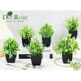 thumbnail image 3 of Der Rose 6 Pack Fake Plants Mini Artificial Plants for Home Office Farmhouse Bathroom Shelf Decor Indoor, 3 of 7