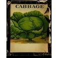 thumbnail image 2 of Albert, Beth 20x24 Black Ornate Wood Framed with Double Matting Museum Art Print Titled - Vintage Cabbage, 2 of 4