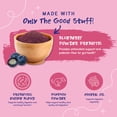 thumbnail image 4 of PupGrade Digestive Health Soft Chews for Dogs, Probiotics & Enzymes, 120 Count Bag, 4 of 8