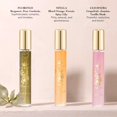 thumbnail image 4 of Set de armario Perfume Tocca, fragancia de lujo, 9 x 4,5 ml EDP, 4 of 7