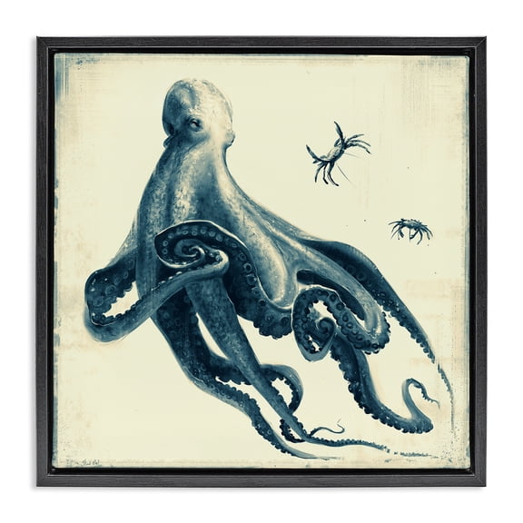 Stupell Industries Traditional Octopus & Sea Critters Black Floating Frame Canvas Art, 18 x 18, by Vlad Mel
