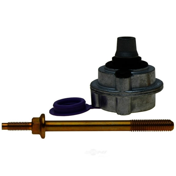 Raybestos H14350 Professional Grade Low Frequency Disc Brake Caliper Noise Damper Fits select: 2004-2012 FORD F150, 2004 FORD F-150 HERITAGE