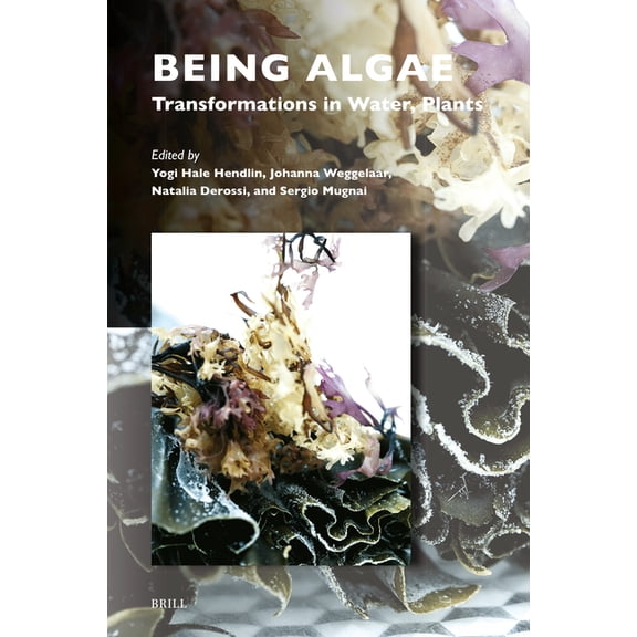 Critical Plant Studies Being Algae: Transformations in Water, Plants, Book 8, (Hardcover)