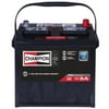 Champion Pro CHAM-35S Automotive Battery