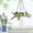 C, variant on NSESSHome New 4 Birds 7 Birds Pendant Colorful Art Metal Iron Group Bird Pendant Window Decorations Suction Cups Can Be Window Hanging