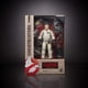 thumbnail image 4 of Figura de acción Original de Ghostbusteres, modelo coleccionable de la Serie de Plasma 1984, barvet Gozer, Terror Dog, Baf Wave, Venkman Stantz, 4 of 5