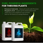 Humboldts Secret pH Up and pH Down Control Kit | Liquid Nutrient Solution Balancer for Plants | For Soil, Hydroponic, Coco, and DWC Systems | Supports Nutrient Absorption and Growth | 32 Ounce