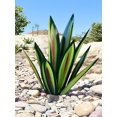 thumbnail image 4 of (Green-55cm) Anti-rust Metal Agave Agave Plant, 4 of 9