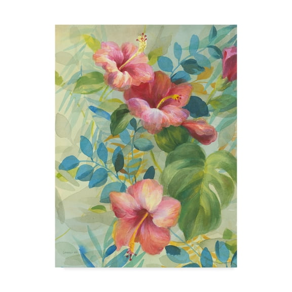 Trademark Fine Art 'Hibiscus Garden II' Canvas Art by Danhui Nai
