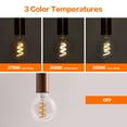 thumbnail image 6 of (2 pack) BH&G G25 LED Vintage Light Bulb, 4.5 Watts (40W Equivalent), Spiral Filament, E26, 2 Pack, 6 of 9