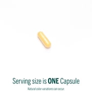 Genestra Brands Active B Complex | Complete B Vitamin Complex Supplement | 60 Capsules