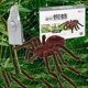 thumbnail image 2 of Kid Gift Remote Control Scary Creepy Soft Plush Spider Infrared Rc Tarantula Toy, 2 of 5