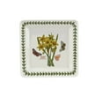 thumbnail image 2 of Botanic Garden - Classic Dinnerware Square Plate, 2 of 5