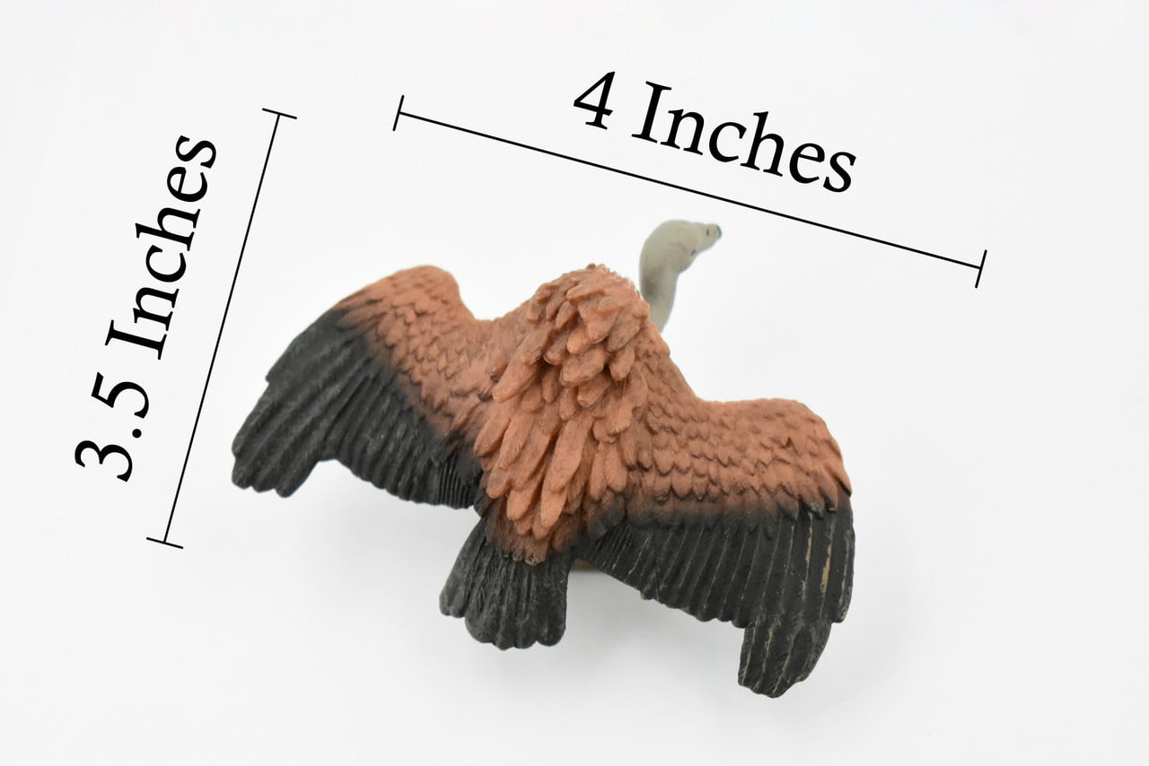 ビリヤードキューVULTURE Vulture - Birdz Eyewear
