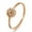 Rose Gold, variant on Laser Viking Compass Stainless Steel Ring: Electroplated Titanium Steel Engraved Norse Jewelry for Men and Women