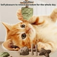 thumbnail image 3 of PurriDent Natural Cat Chew Toy, Whitening Fishbone Shape Cat Dental Chews Care Tools with Catnip Silvervine, Durable Cat Dental Toy, 3 of 17