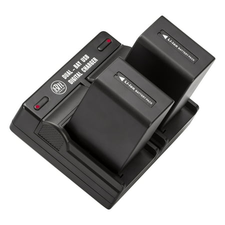 BM Premium 2 Pack of NP-FV100A High Capacity Batteries and Dual Bay Battery Charger for Sony Handycam Camcorders