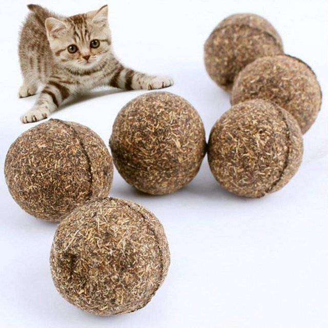 5 uds juguete para gatos bola de hierba gatera Natural sabor a mentol golosinas para gatos comestibles Trea Tmvgtek 1lz2er6pc5hl8fj1