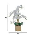thumbnail image 3 of 29" White Orchid Arrangement in a Tan Ceramic Planter | Real Touch White Moth Phalaenopsis Orchids by Fiori Sempre, 3 of 7