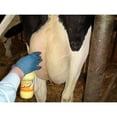 thumbnail image 5 of UDDER COMFORT INTERNATIONAL INC UDDER COMFORT UDDER SPRAY BLUE 500 ML 13109-1, 5 of 6
