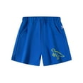 thumbnail image 3 of SGMVNU Boys Shorts Elastic Waist Cotton Shorts with Embroidery, Summer Casual Athletic Play Shorts for Baby Toddler Kids, Size 3-4 Years, Sky Blue, 3 of 3