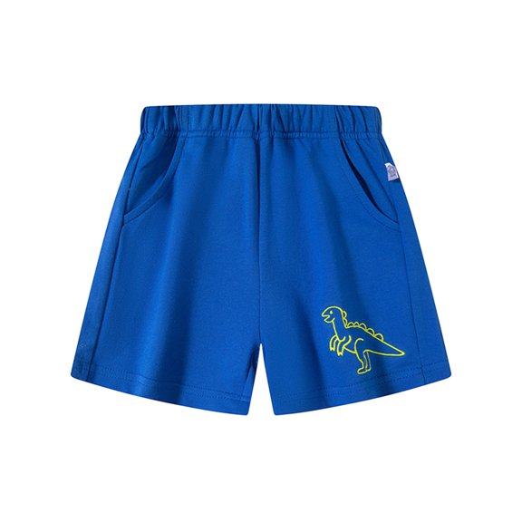 AWZXDE Boys Shorts Dinosaur Print Elastic Waist Athletic Casual Play Shorts For Toddler And Kids Comfortable 5 Inch Sky Blue,4-5 Years