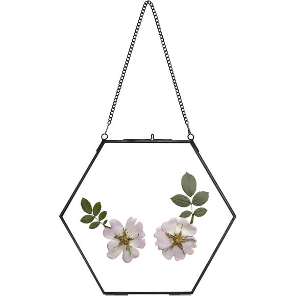 shiyou-Handmade Glass Frame for Pressed Flowers, Double Glass Brass Floating Frame, Wall Hanging Round Picture, Frame for Dried Flowers Poster Home Wall Decor, Hexagon, Black,Height 8 inches