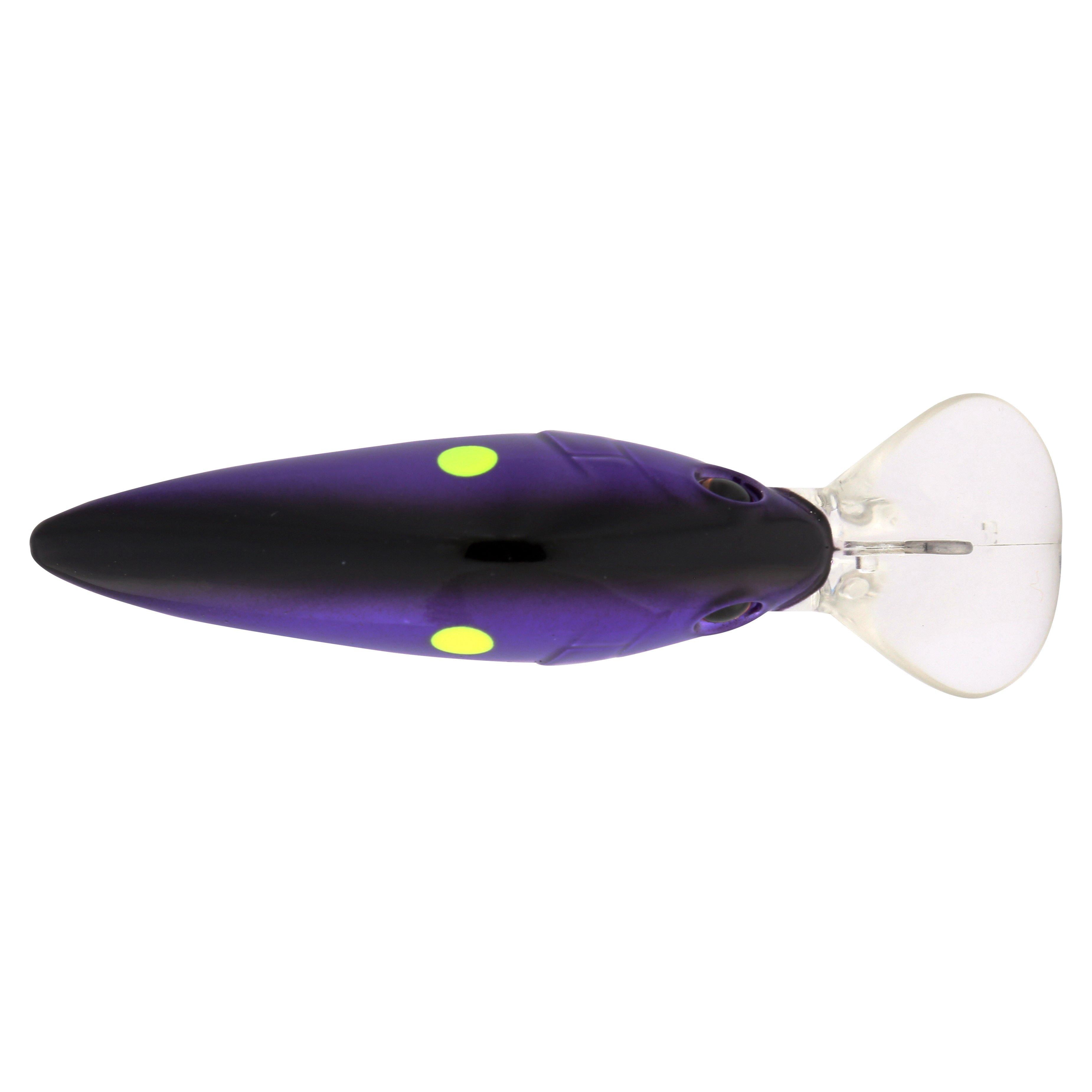 Berkley Money Badger, 4, Korey's Candy