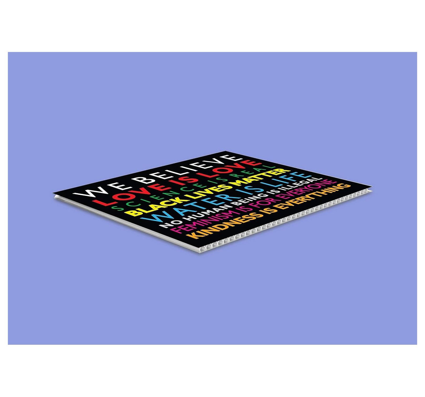 We Believe Yard Sign | We Believe Sign | Black Lives Matter Sign | Love is Love | Kindness Is Everything | 24" x 18" Corrugated Plastic Yard Signs with H Stakes | Double Sided (1)