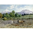 thumbnail image 2 of Lohr, Augusto 32x24 White Modern Wood Framed Museum Art Print Titled - Campesino Arando, 2 of 4
