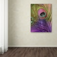 thumbnail image 3 of Trademark Fine Art "Peacock Candy III" Canvas Art by Color Bakery, 3 of 3