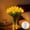 Yellow(With Vise), variant on Radiant Romantic Tulip Light, 15 PCS Twinkling Tulips Tree with Vase, LED Artificial Flowers Ambient Night Lamp, Gentle Lighting for Bedroom Bedside Decor and Gift