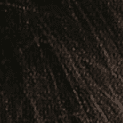 5C Medium Cool Brown