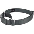 thumbnail image 3 of HSHDLDF Charcoal Martingale Heavy Duty Nylon Dog Collar 21 Vibrant Color Options (3/4 Inch Width, Small), 3 of 6