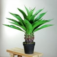 thumbnail image 2 of 30.5" Potted Green Artificial Agave Americana Succulent Plant, 2 of 5