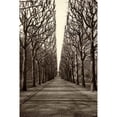 thumbnail image 3 of "Tree Alley" Painting Print on Wrapped Canvas, 3 of 5