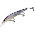 thumbnail image 2 of BAND-IT BDTWBS1B24 Walleye Shallow Rave, 2 of 3