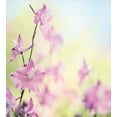thumbnail image 3 of Floral Duvet Cover Set, Larkspur Petals with Bokeh Backdrop Summer Season Botany Bouquet Image, Decorative 3 Piece Bedding Set with 2 Pillow Shams, Calking Size, Pale Green Pale Pink, by Ambesonne, 3 of 3