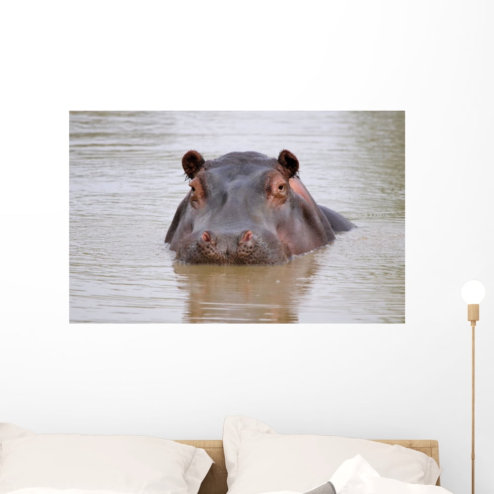 Hippo Wall Mural Decal Sticker, Wallmonkeys Peel & Stick Vinyl Graphic ...