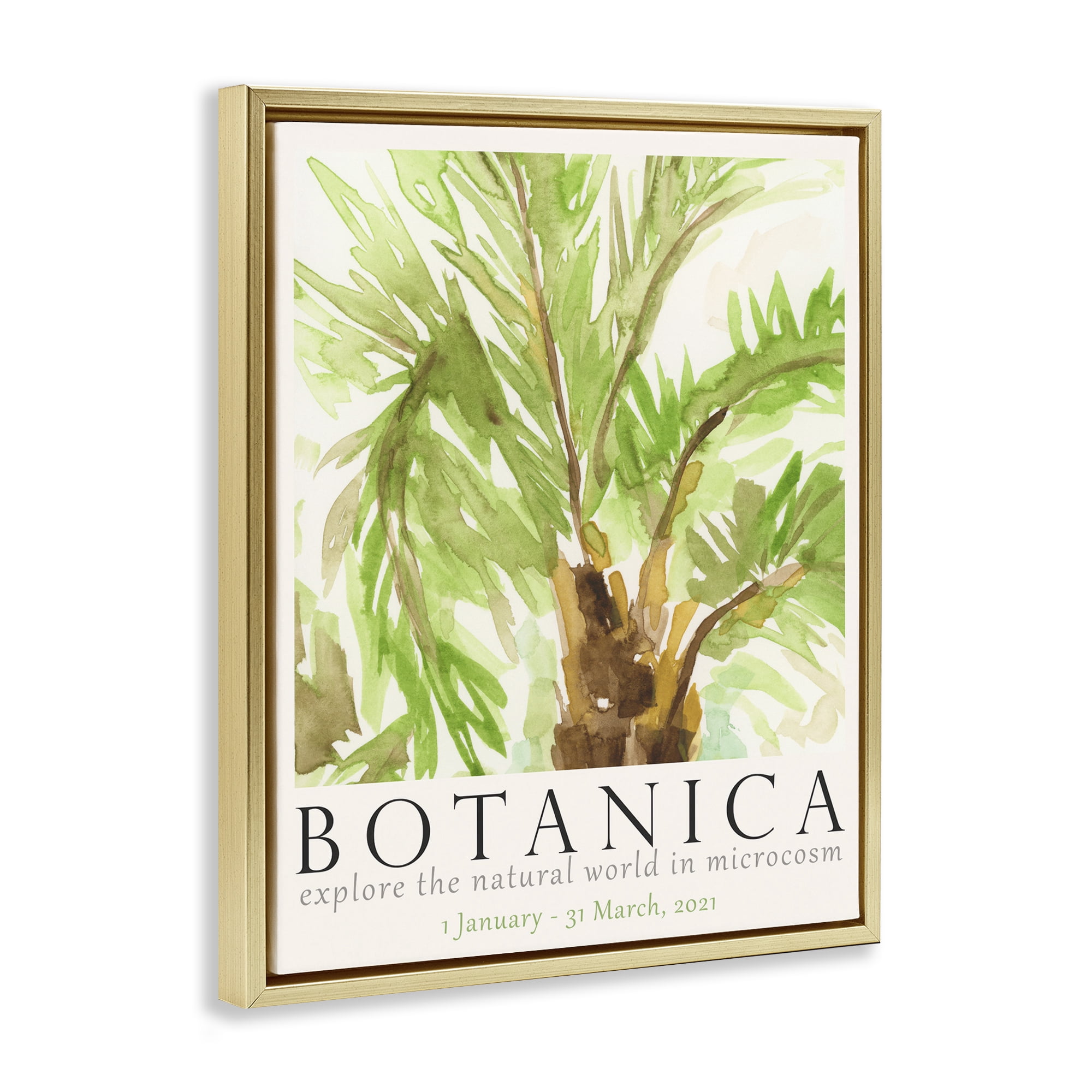 Stupell Industries Botanica Poster Palm Tree Plants & Flowers Painting Gold Floater Framed Canvas Art Print Wall Art, 25 x 31