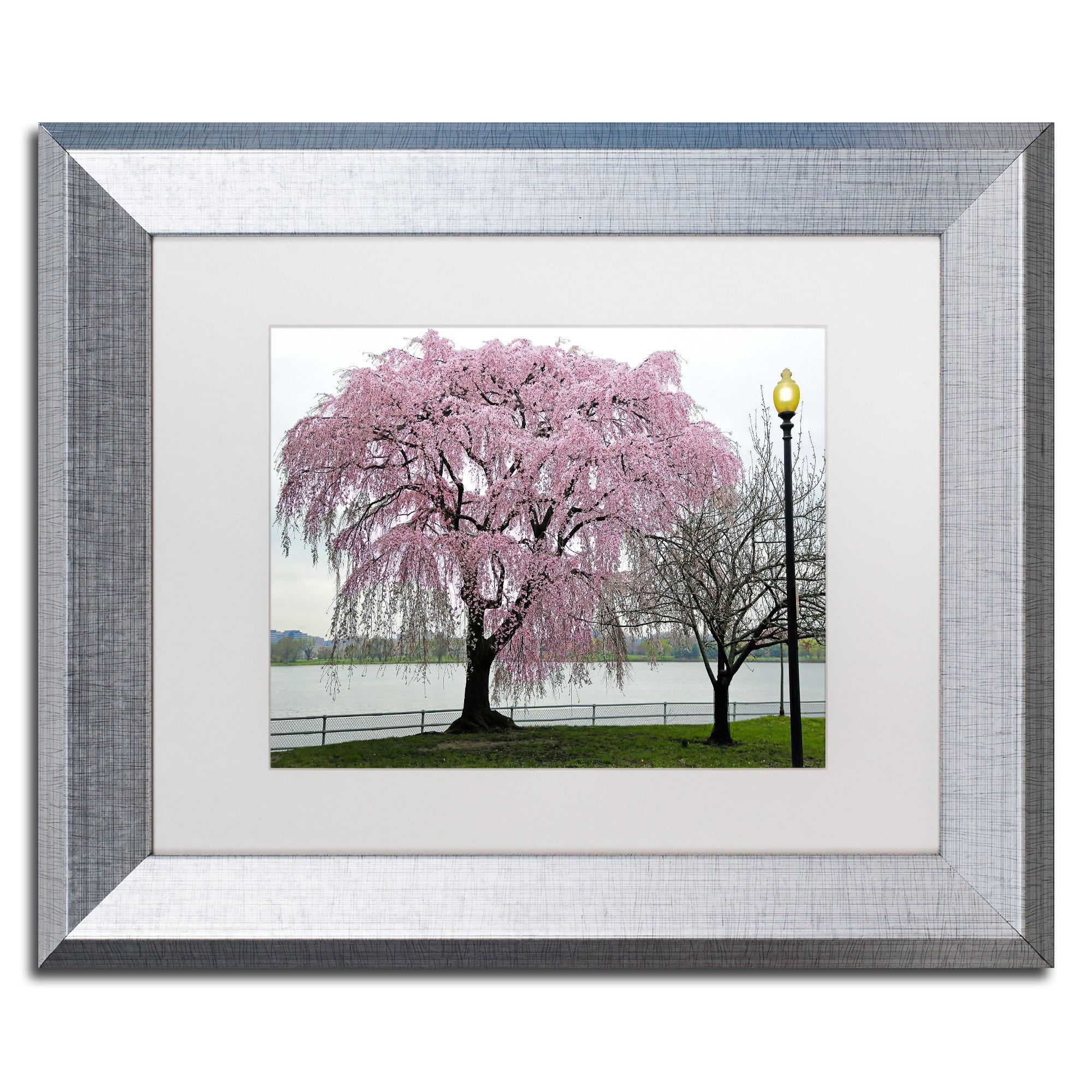 Trademark Fine Art "Cherry Tree" Canvas Art by CATeyes, White Matte, Silver Frame