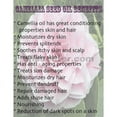 thumbnail image 2 of Camellia / Camelia Seed Oil Refined Organic Carrier Cold Pressed 100% Pure 64 oz, 2 of 5