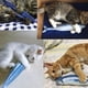 thumbnail image 3 of Interactivos para perros, zanahoria Alfombrilla para olfatear para perros, rompecabezas de peluche 2 en 1, juegos de alimentación para aliviar el estrés de las mascotas, 3 of 5