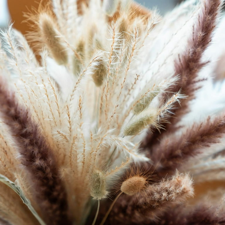 80pcs Natural Dried Pampas Grass Bouquet,Phragmites Dried Flowers,Boho Home Decor Dried Flowers Arrangements for Wedding Floral Arrangements Home