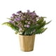 thumbnail image 2 of Bonsái artificial | Arreglo floral y de lavanda artificial | Decoración para el hogar y la oficina: ideal para la sala de estar, la entrada o estanterías | Vegetación artificial en jarrón moderno, 2 of 6