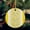 Yellow, variant on Navy Blue Grey Ceramic Ornaments, Modern Abstract Art Rustic Round Porcelain Hanging Ornaments with Gold String, Xmas Decorations Keepsake Gifts for Holiday Home Party 3''