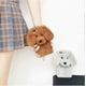 thumbnail image 4 of Super Cute Teddy Dog Fluffy Fur Case Compatible with iPhone 13 Mini, Fuzzy Furry Warm Plush Soft TPU Winter Case Protective Covers (Teddy Grey, iPhone, 4 of 4