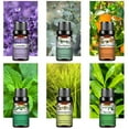 thumbnail image 4 of PHATOIL 6pcs Essential Oils Set for Diffusers Humidifier 100% Pure,for Massage Bath Sleep (10ml), 4 of 12