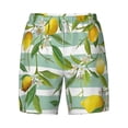 thumbnail image 4 of Lsque Mens Swim Trunks Lemon Pattern - Bathing Suit Compression Liner - Beach Swim Shorts Swimwear - (S-3XL) - Stretch Quick Dry -3X-Large, 4 of 9